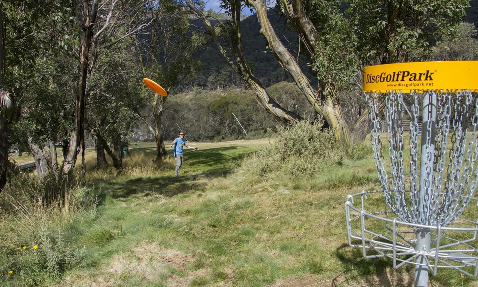 Player throwing a disc towards a basket on a bushland fairway