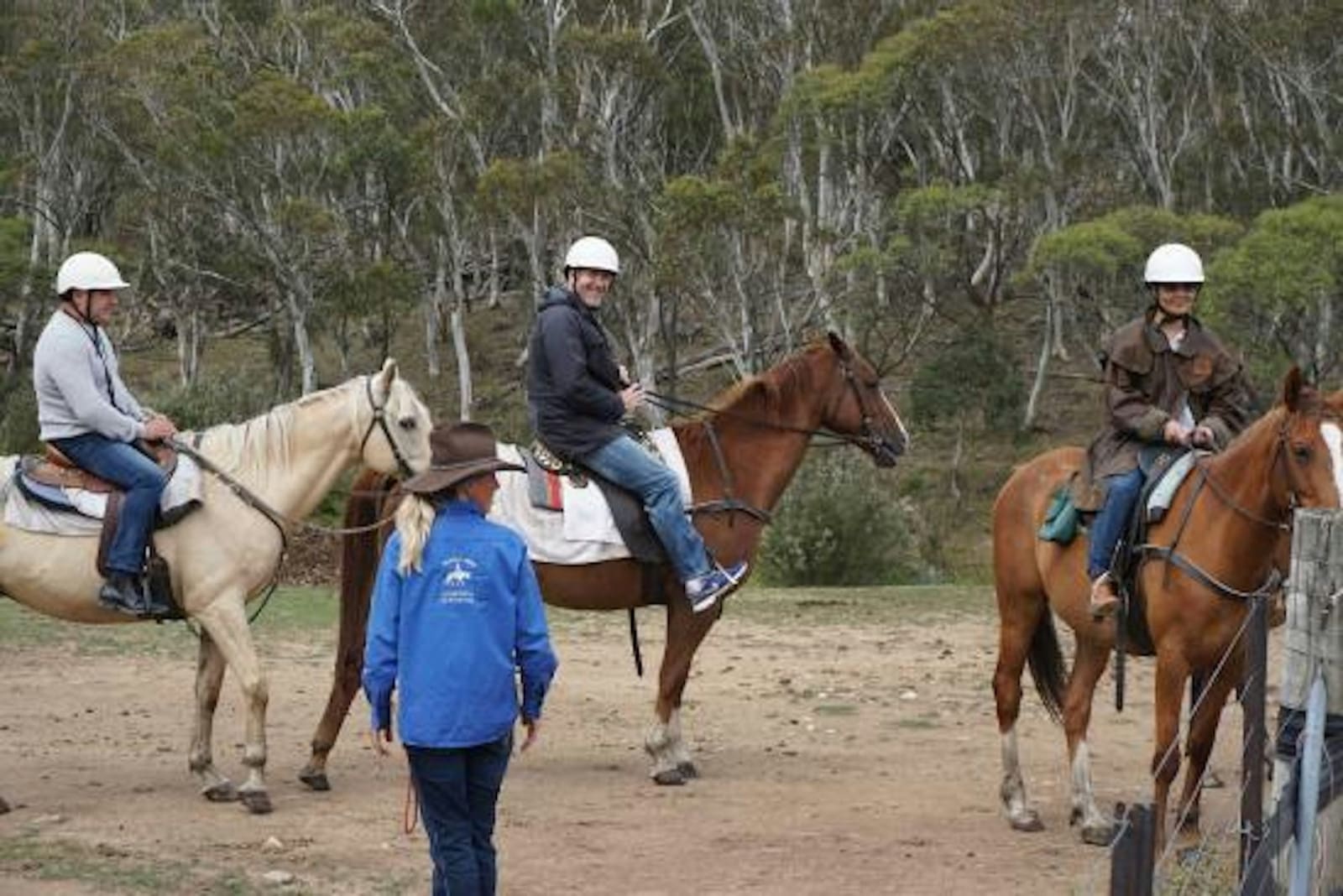Riders in helmets on horseback with a guide among snowgums